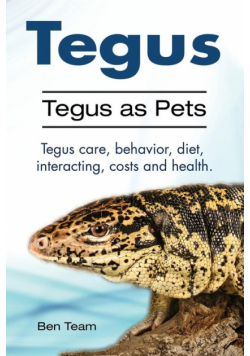 Tegus. Tegus as Pets. Tegus care, behavior, diet, interacting, costs and health.