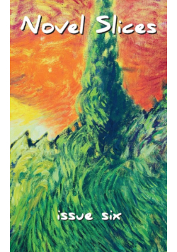 Novel Slices Issue 6