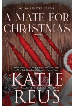 A Mate for Christmas