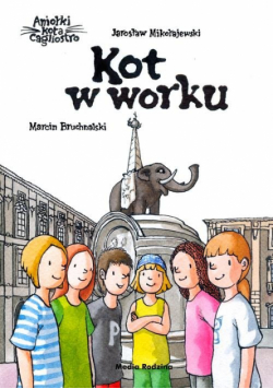 Kot w worku