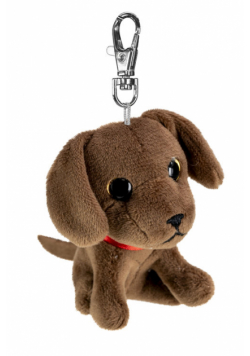 Lumo Labrador retriever Choco mini