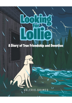 Looking for Lollie