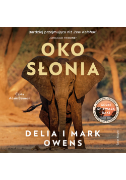 Oko słonia