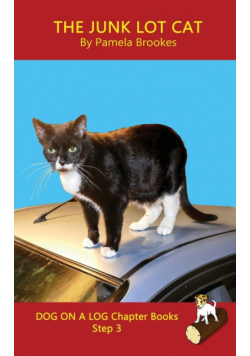 The Junk Lot Cat Chapter Book