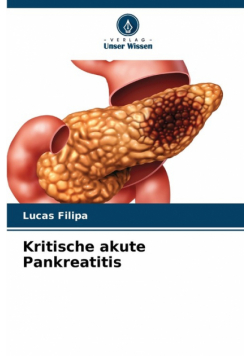 Kritische akute Pankreatitis