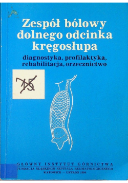 Zespół bólowy dolnego odcinka kręgosłupa