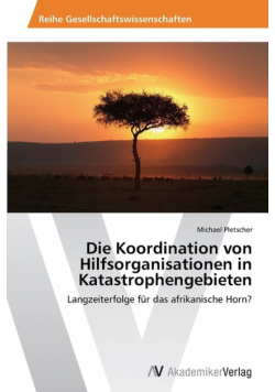 Die Koordination von Hilfsorganisationen in Katastrophengebieten