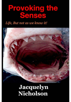 Provoking the Senses