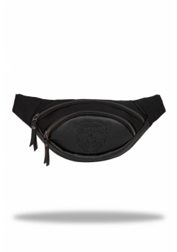 Saszetka nerka Disney 100 albany black collection