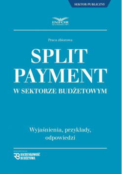 Split Payment w sektorze budżetowym