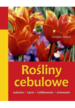 Rośliny cebulowe