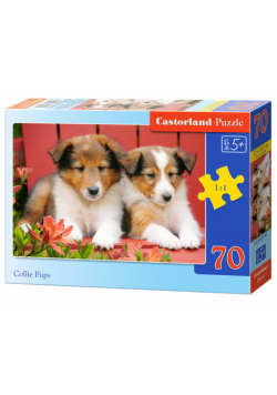 Puzzle Collie Pups 70