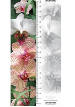 Zakładka 3D Orchidea