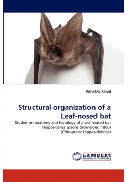 Structural Organization of a Leaf-Nosed Bat