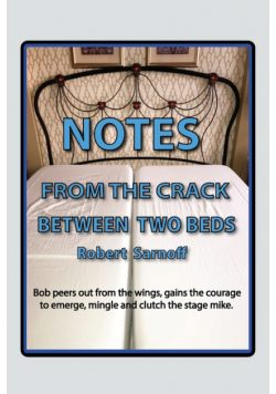 Notes From The Crack Between Two Beds