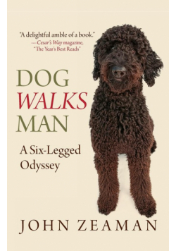 Dog Walks Man