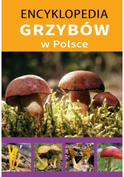 Encyklopedia grzybów w Polsce