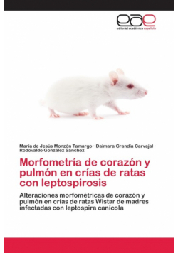 Morfometría de corazón y pulmón en crías de ratas con leptospirosis