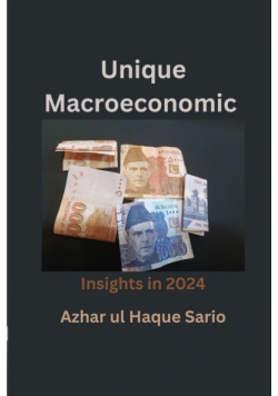 Unique Macroeconomic Insights in 2024