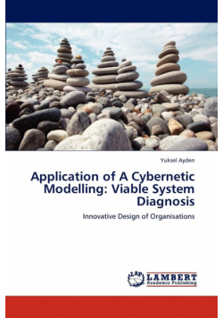 Application of a Cybernetic Modelling