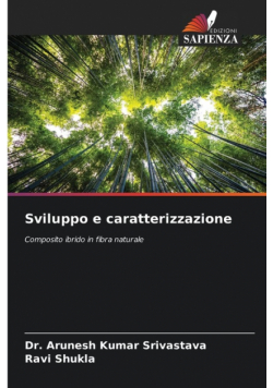Sviluppo e caratterizzazione