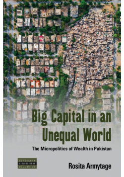 Big Capital in an Unequal World