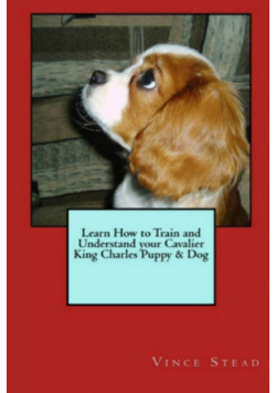 Learn How to Train and Understand Your Cavalier King Charles Puppy & Dog