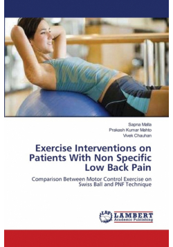 Exercise Interventions on Patients With Non Specific Low Back Pain