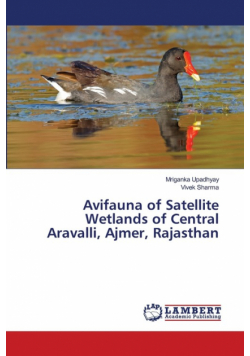 Avifauna of Satellite Wetlands of Central Aravalli, Ajmer, Rajasthan