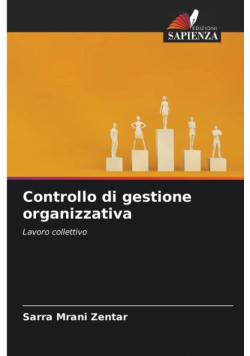 Controllo di gestione organizzativa