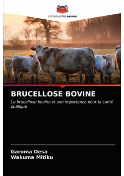 Brucellose Bovine