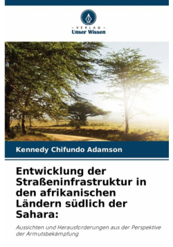 Entwicklung der Straßeninfrastruktur in den afrikanischen Ländern südlich der Sahara