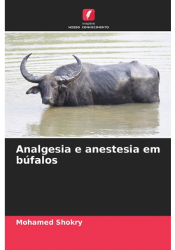 Analgesia e anestesia em búfalos