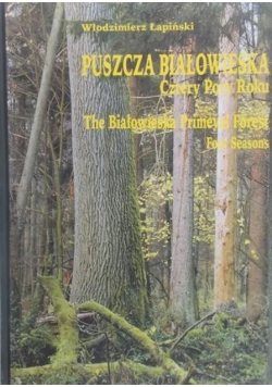 Puszcza Białowieska cztery pory roku