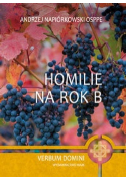Homilie na rok B