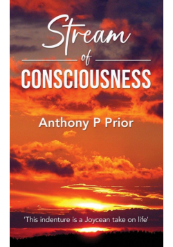 Stream of Consciousness