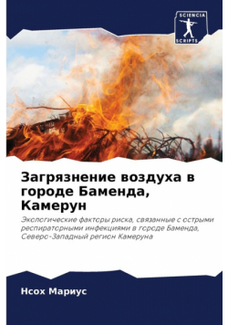 Загрязнение воздуха в городе Баменда, Камерун