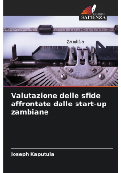 Valutazione delle sfide affrontate dalle start-up zambiane