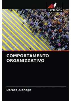 Comportamento Organizzativo
