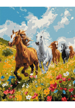 Malowanie po numerach - Polowa harmonia 40x50cm
