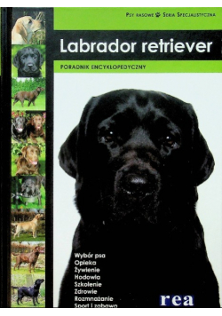 Labrador retriewer Poradnik encyklopedyczny