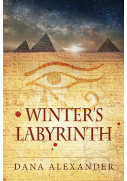 Winter's Labyrinth