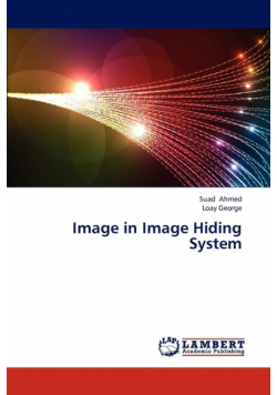 Image in Image Hiding System