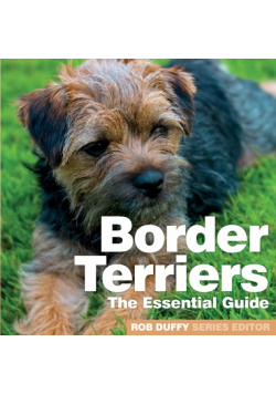 Border Terriers