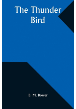 The Thunder Bird