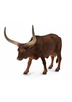 Krowa Ankole-Watusi