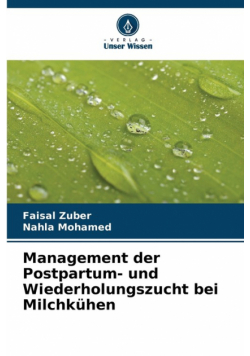 Management der Postpartum- und Wiederholungszucht bei Milchkühen