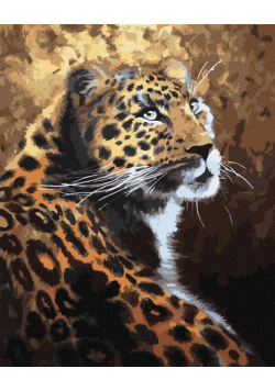 Malowanie po numerach - Drapieznik 40x50cm