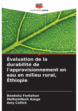 Évaluation de la durabilité de l'approvisionnement en eau en milieu rural, Éthiopie