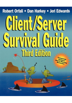 Client/Server Survival Guide
